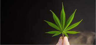 Marijuana Addiction Treatment Windansea Recovery