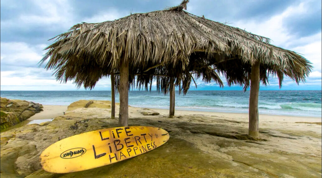 life liberty happiness windansea recovery